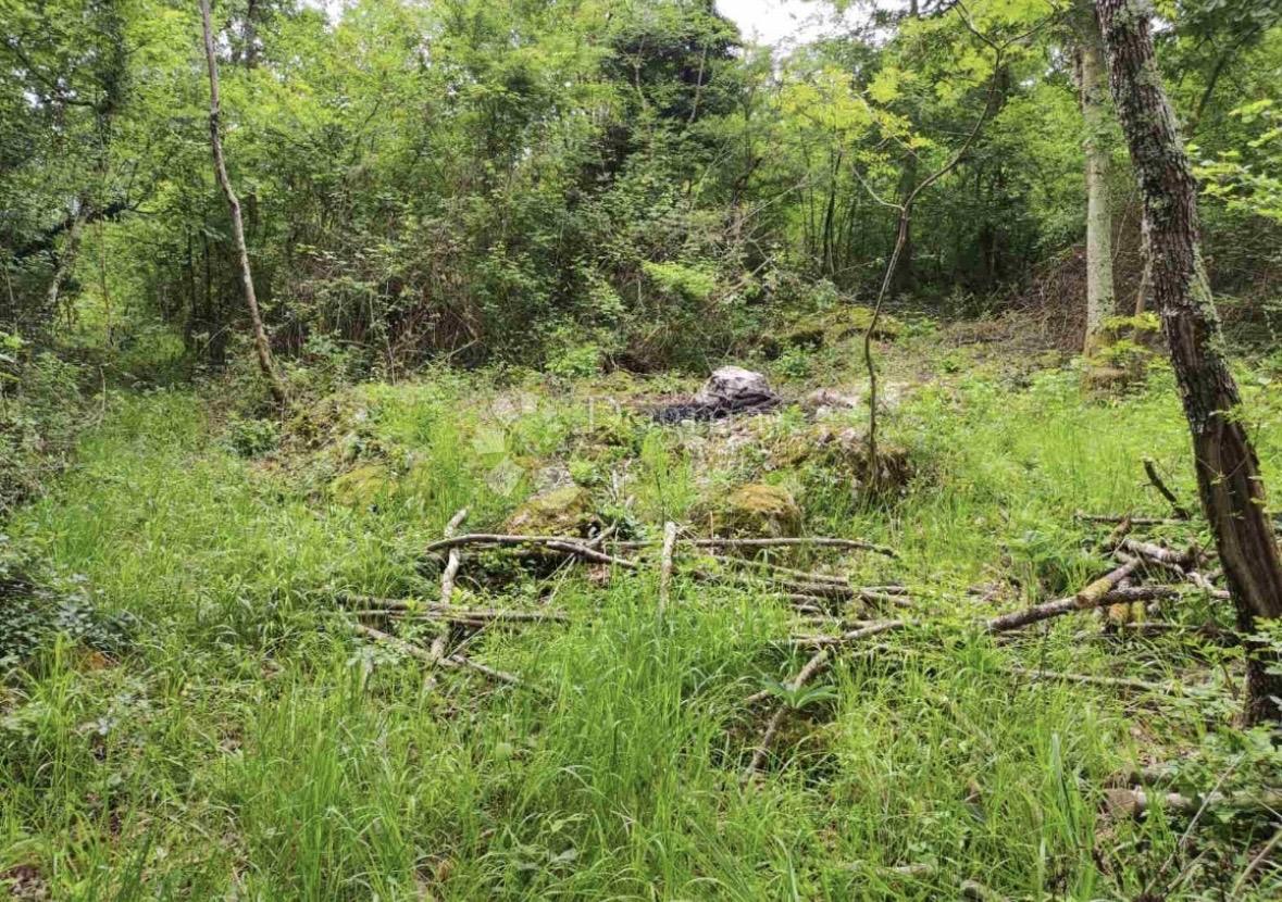 Zazidljivo zemljišče Roč, Buzet, 1.320m2