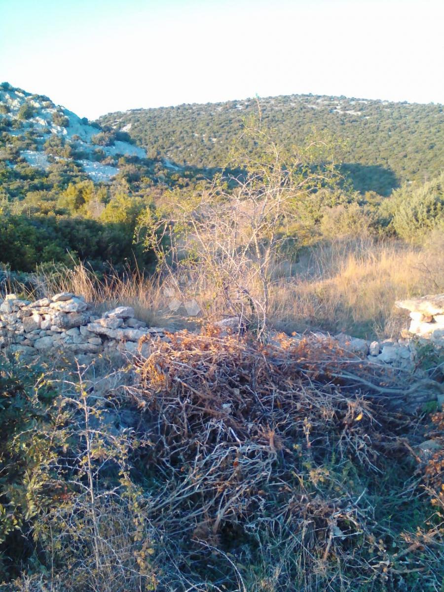 Kmetijsko zemljišče Banjevci, Stankovci, 3.330m2