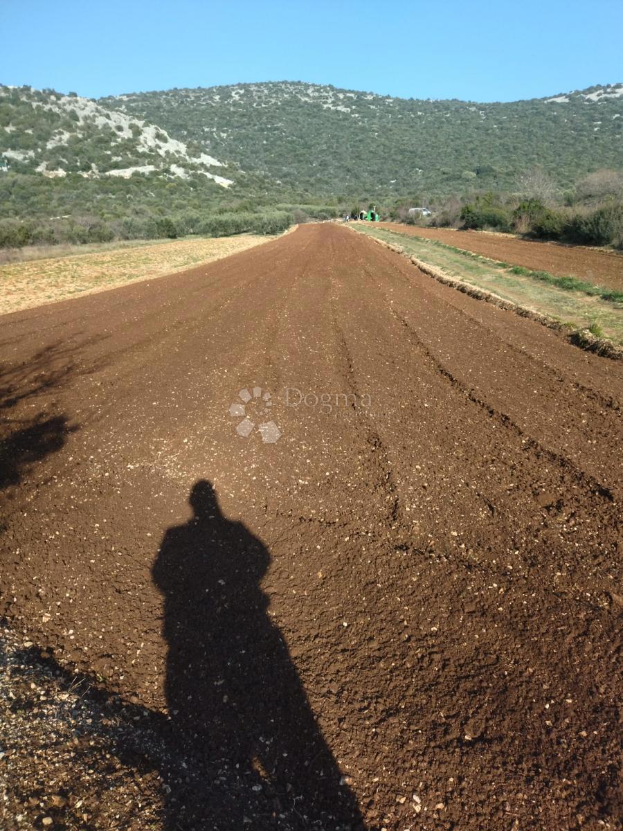 Kmetijsko zemljišče Banjevci, Stankovci, 3.330m2
