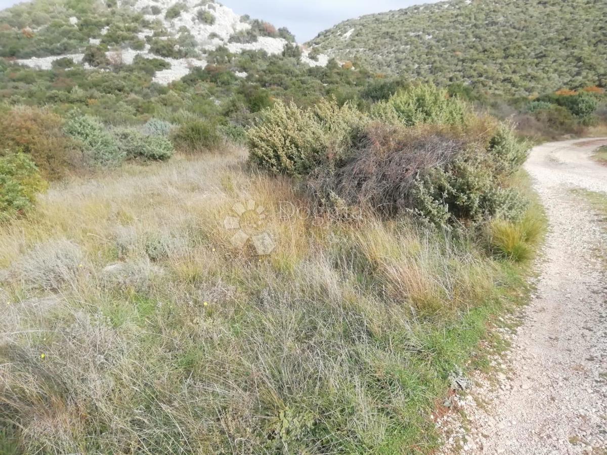 Kmetijsko zemljišče Banjevci, Stankovci, 3.330m2