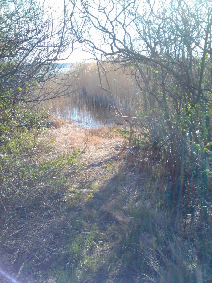 Kmetijsko zemljišče Banjevci, Stankovci, 3.330m2