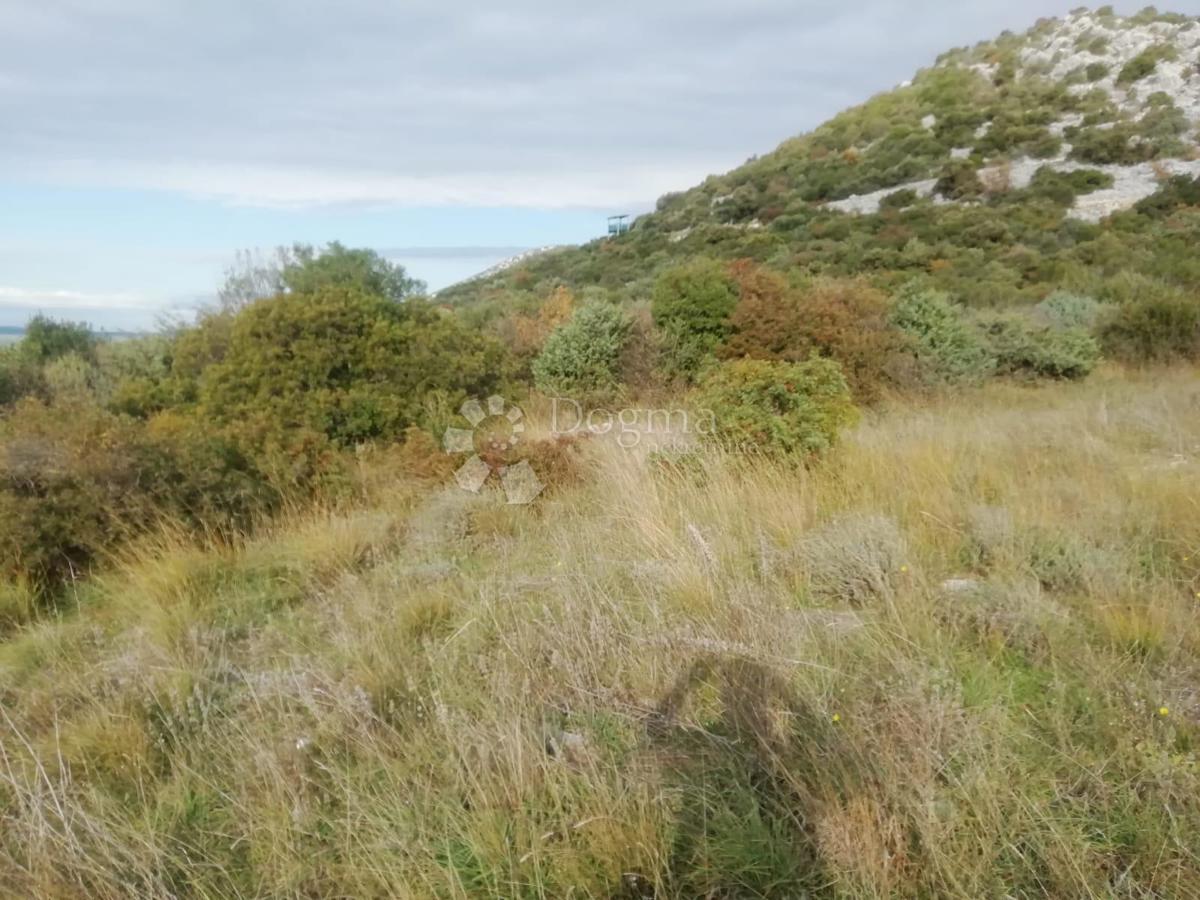 Kmetijsko zemljišče Banjevci, Stankovci, 3.330m2