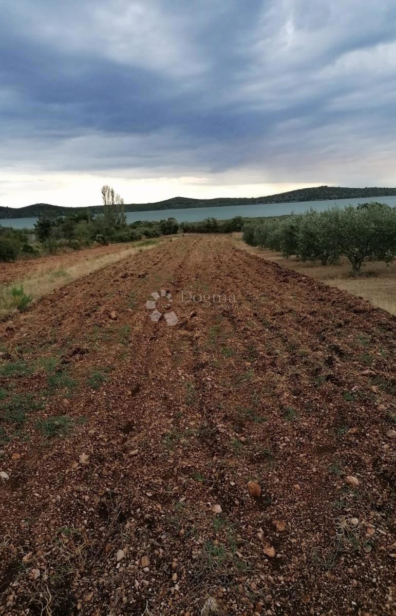 Kmetijsko zemljišče Banjevci, Stankovci, 3.330m2