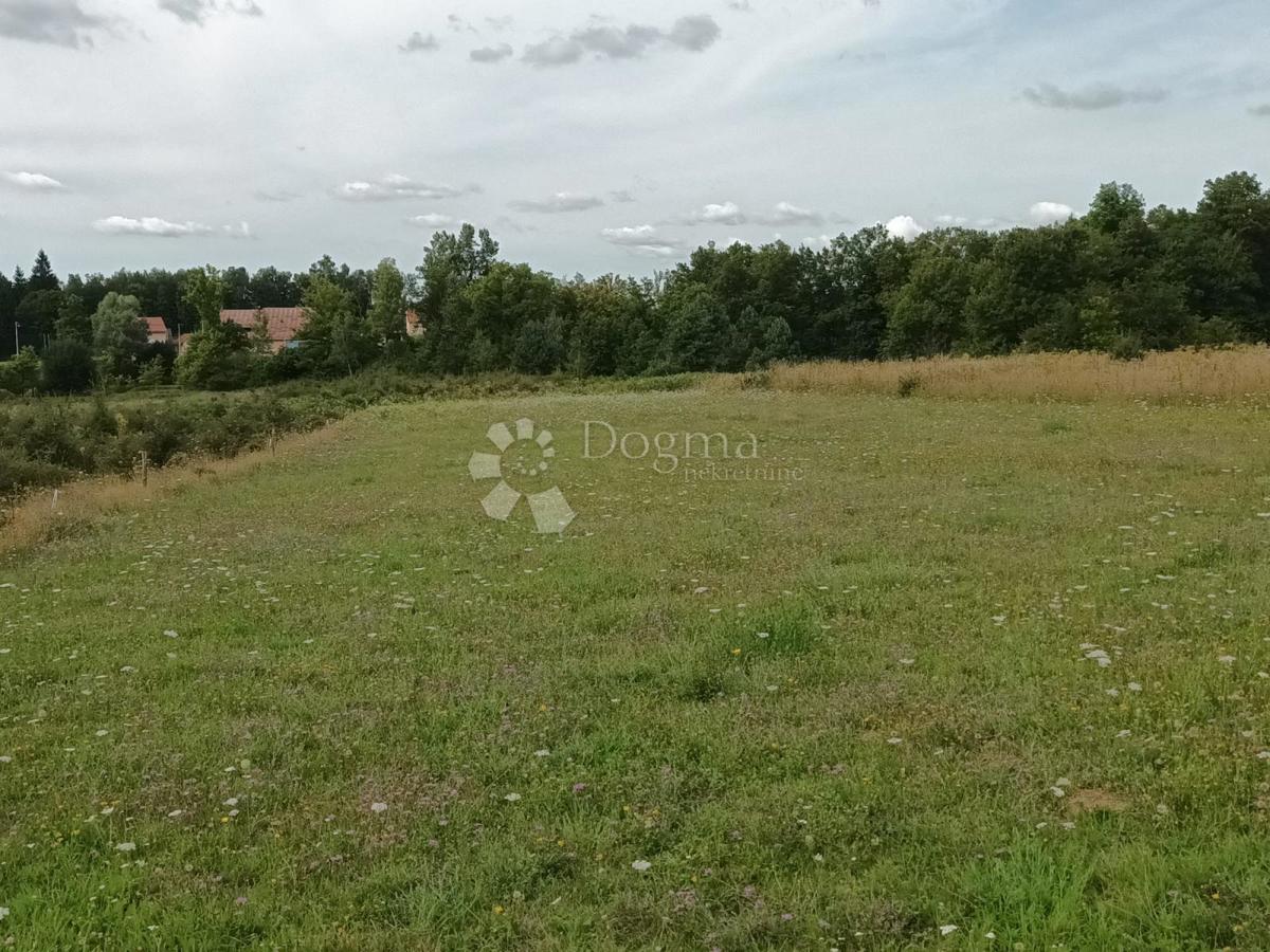 Kmetijsko zemljišče Žabica, Gospić - Okolica, 2.163m2