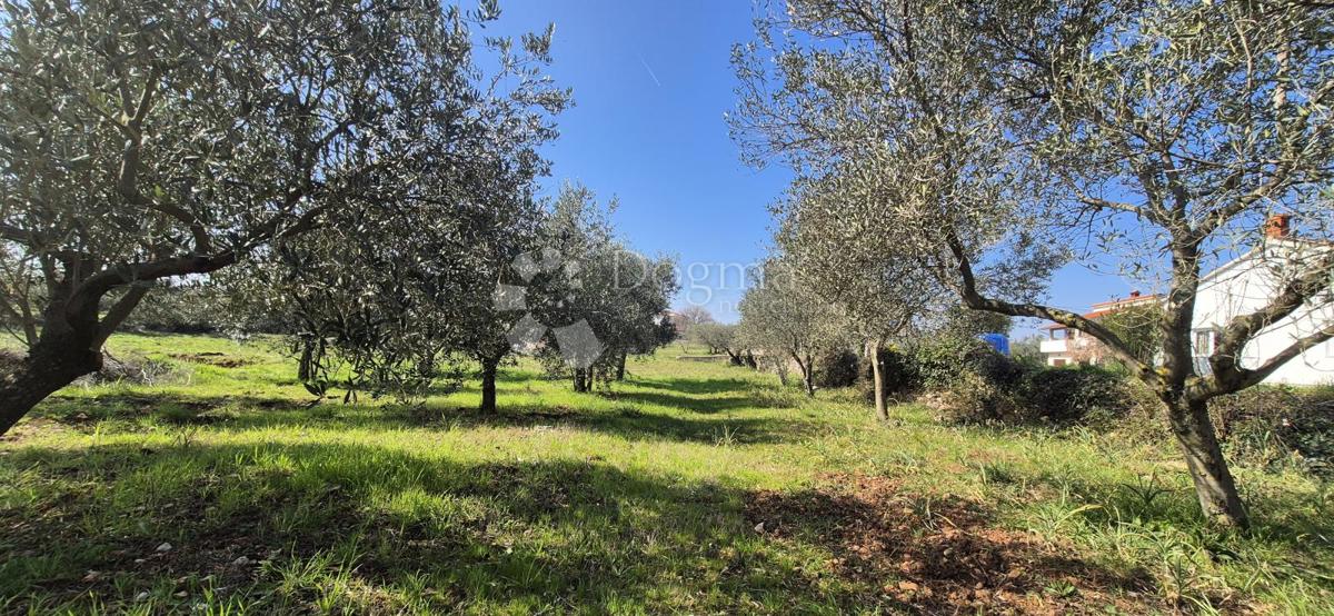 Zazidljivo zemljišče Peruški, Marčana, 492m2