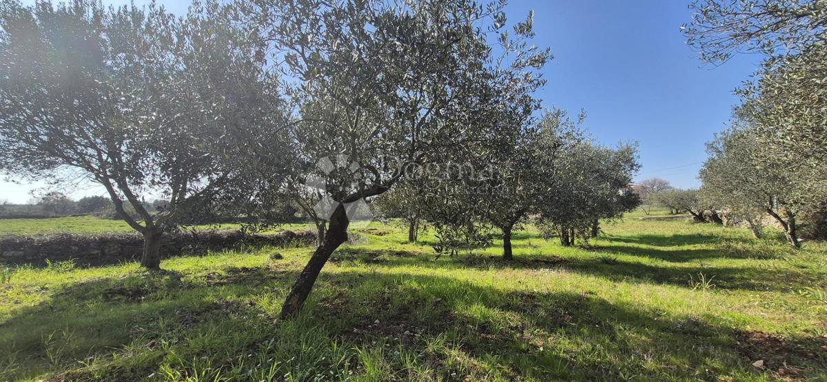 Zazidljivo zemljišče Peruški, Marčana, 492m2
