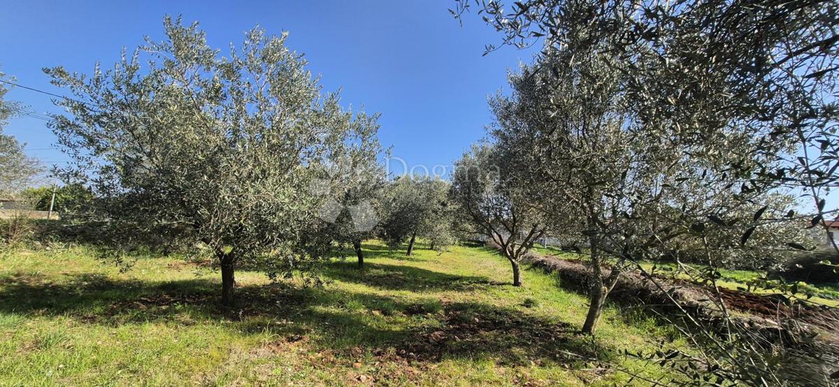 Zazidljivo zemljišče Peruški, Marčana, 492m2