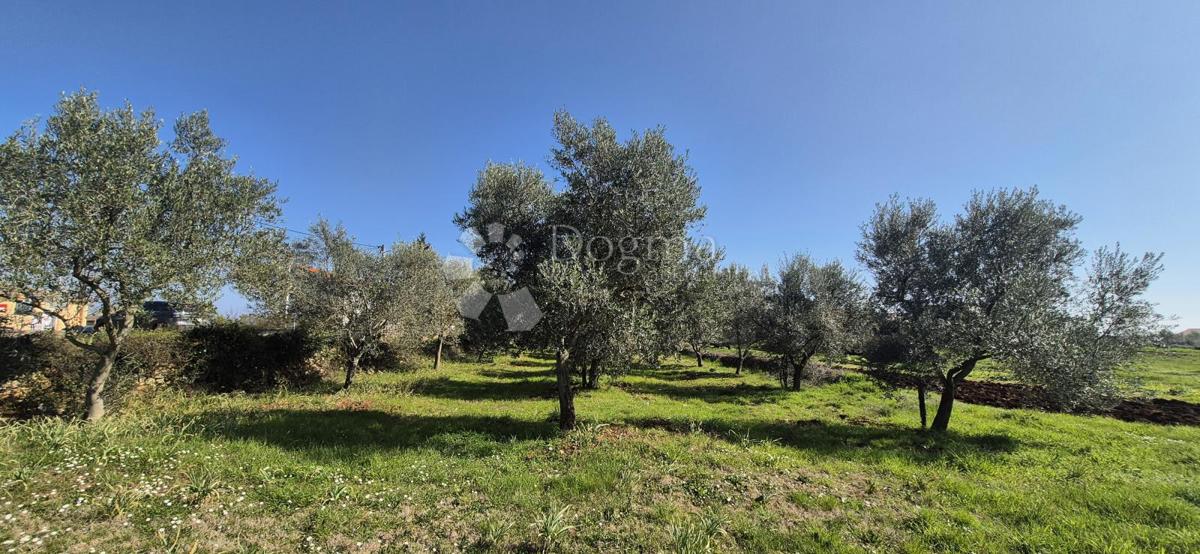 Zazidljivo zemljišče Peruški, Marčana, 492m2