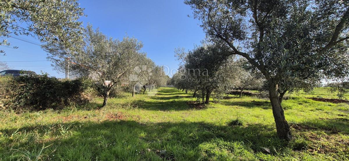 Zazidljivo zemljišče Peruški, Marčana, 492m2