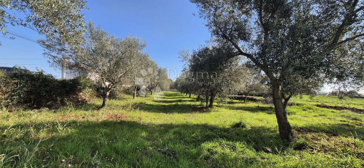 Zazidljivo zemljišče Peruški, Marčana, 492m2