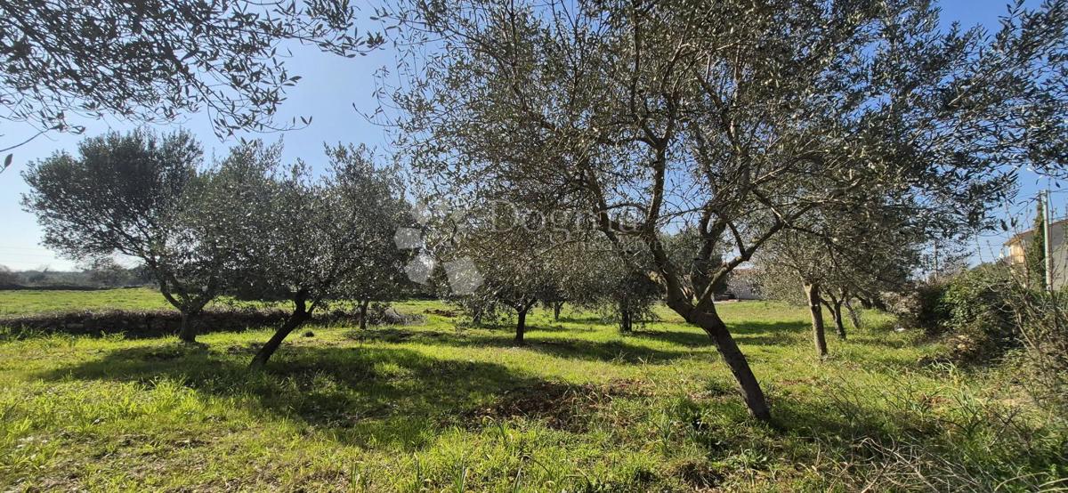 Zazidljivo zemljišče Peruški, Marčana, 492m2