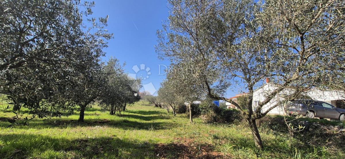 Zazidljivo zemljišče Peruški, Marčana, 492m2