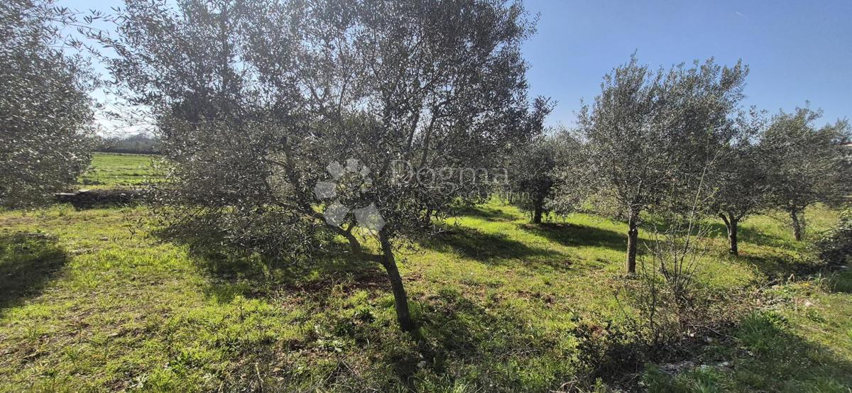 Zazidljivo zemljišče Peruški, Marčana, 492m2