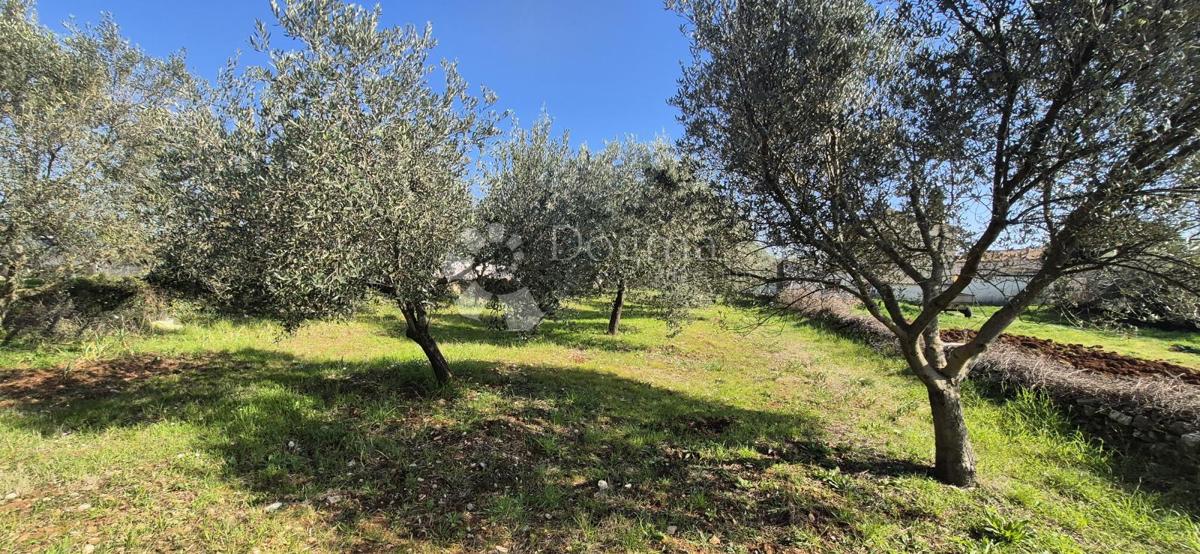 Zazidljivo zemljišče Peruški, Marčana, 492m2