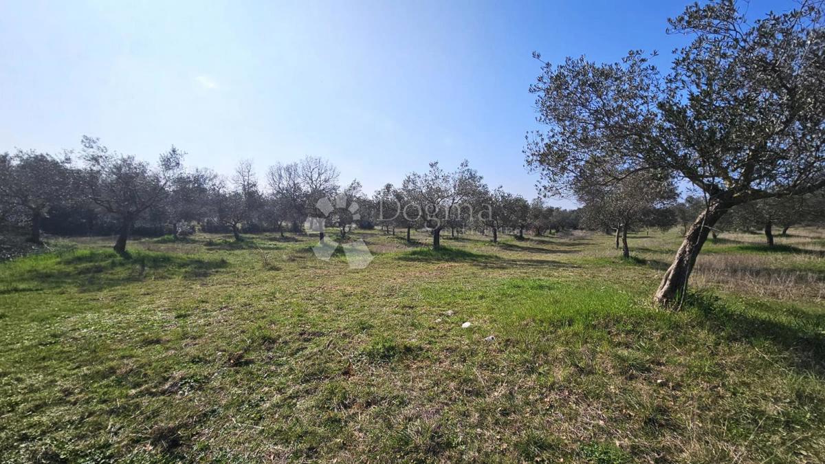 Kmetijsko zemljišče Rovinj, 19.838m2