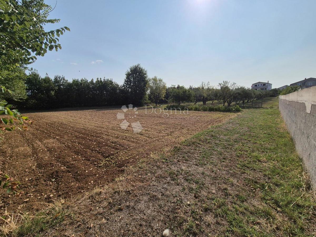 Zazidljivo zemljišče Vrsi, 1.252m2