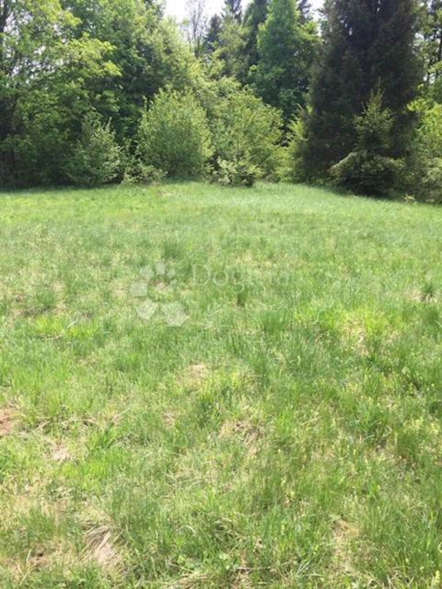 Zazidljivo zemljišče Crni Lug, Delnice, 6.855m2