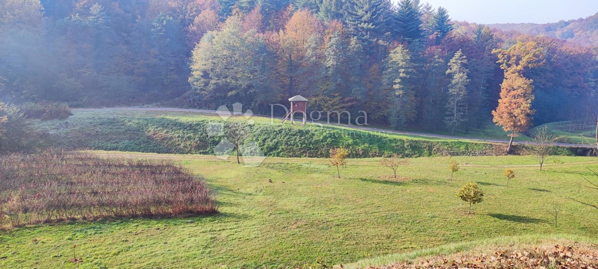 Zemljišče Ljubešćica, 20.000m2