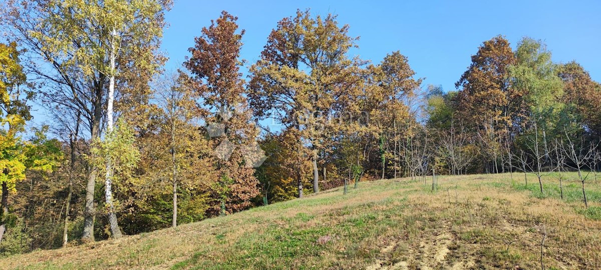 Zemljišče Ljubešćica, 20.000m2