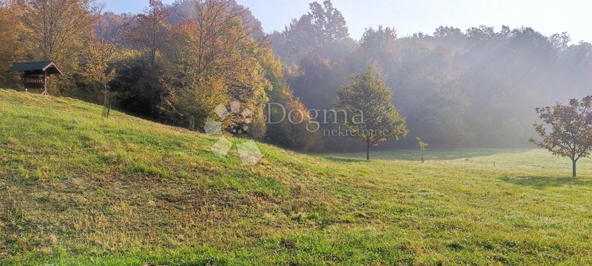 Zemljišče Ljubešćica, 20.000m2