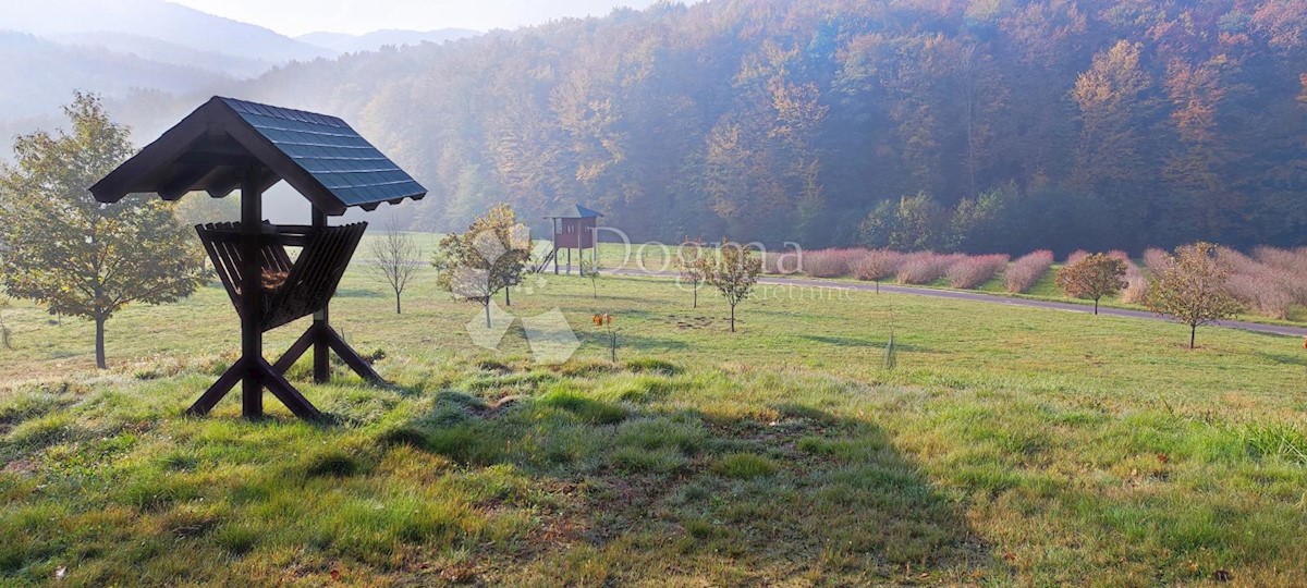 Zemljišče Ljubešćica, 20.000m2