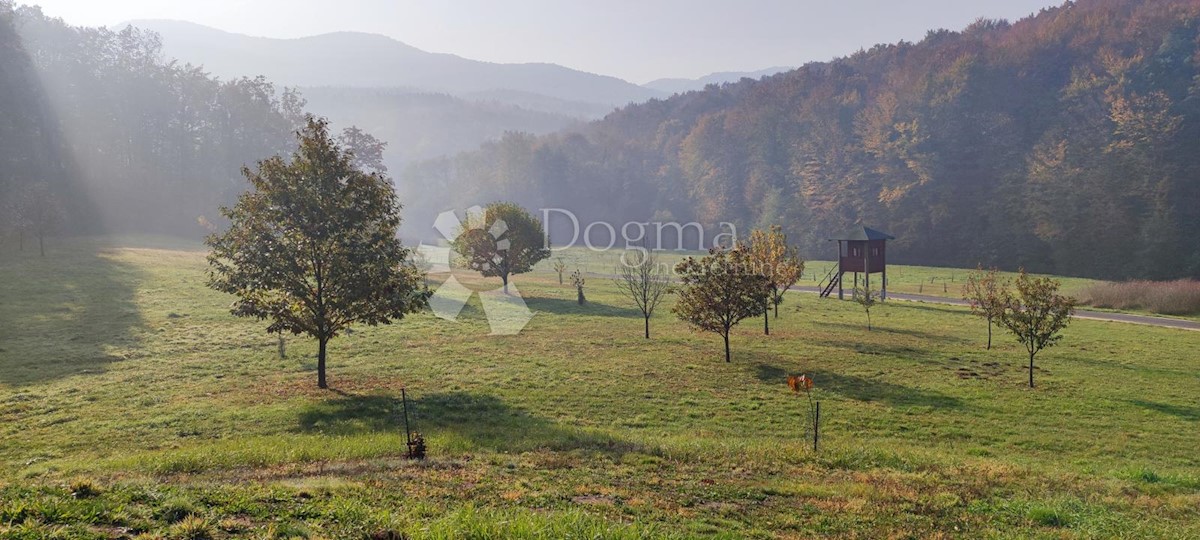 Zemljišče Ljubešćica, 20.000m2