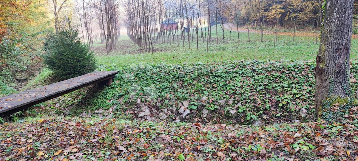 Zemljišče Ljubešćica, 20.000m2