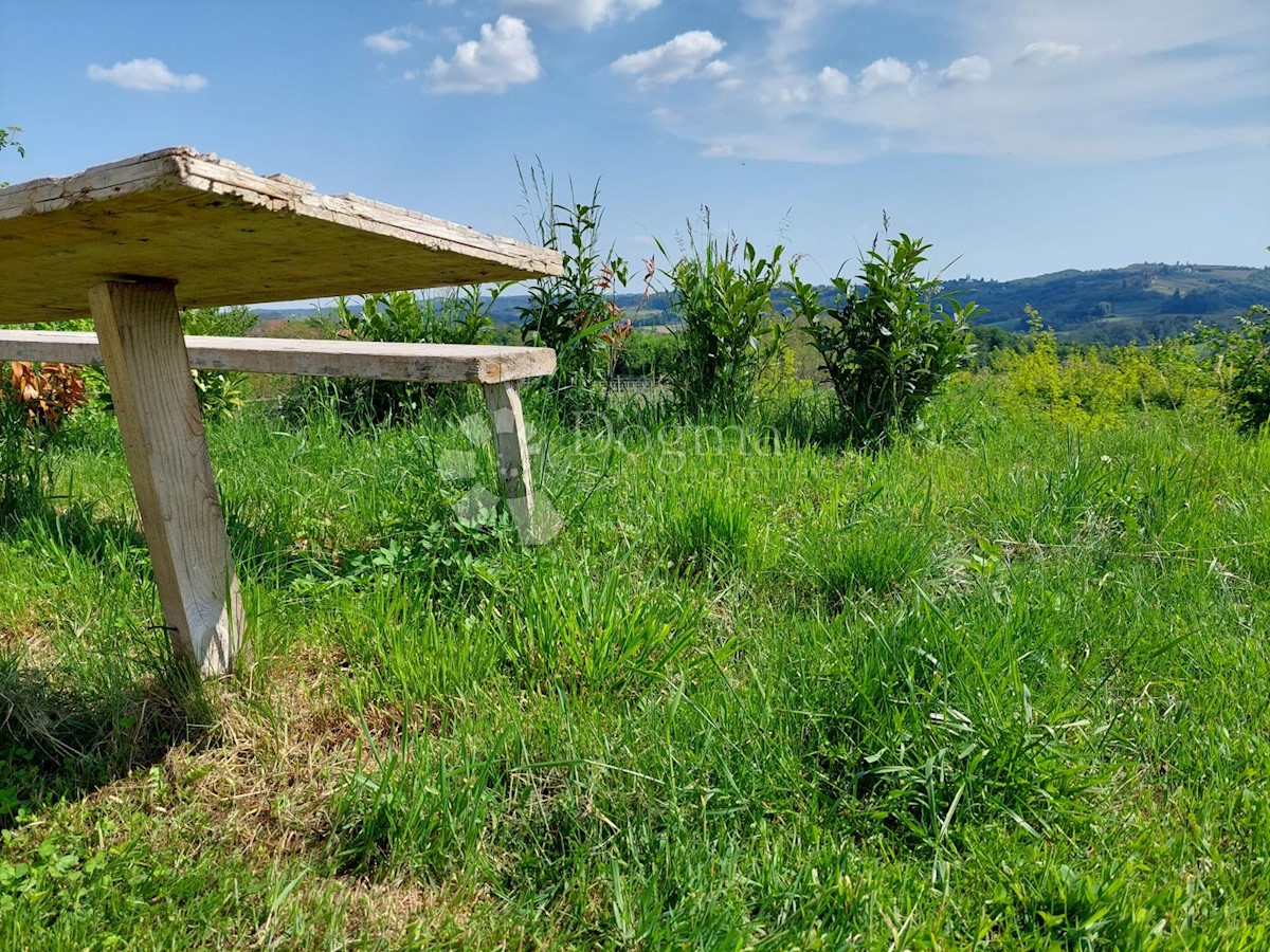 Zemljišče Banfi, Štrigova, 6.542m2