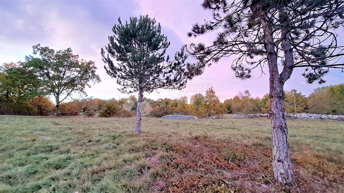 Zemljišče Tinjan, 3.068m2