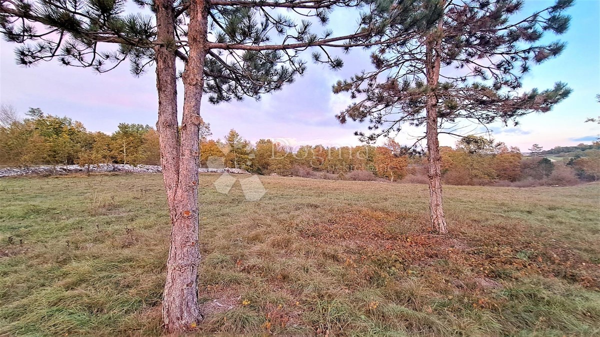 Zemljišče Tinjan, 3.068m2