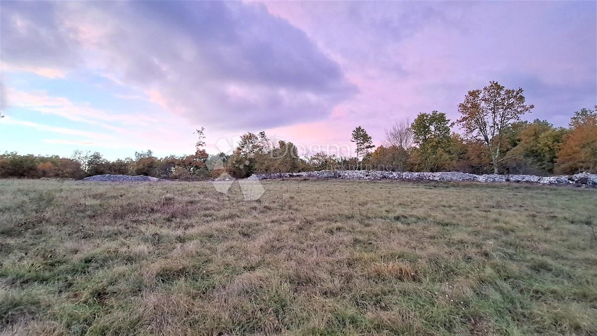 Zemljišče Tinjan, 3.068m2