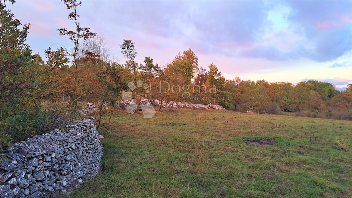 Zemljišče Tinjan, 3.068m2