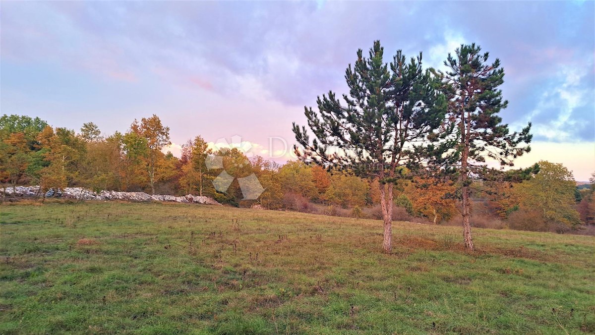 Zemljišče Tinjan, 3.068m2