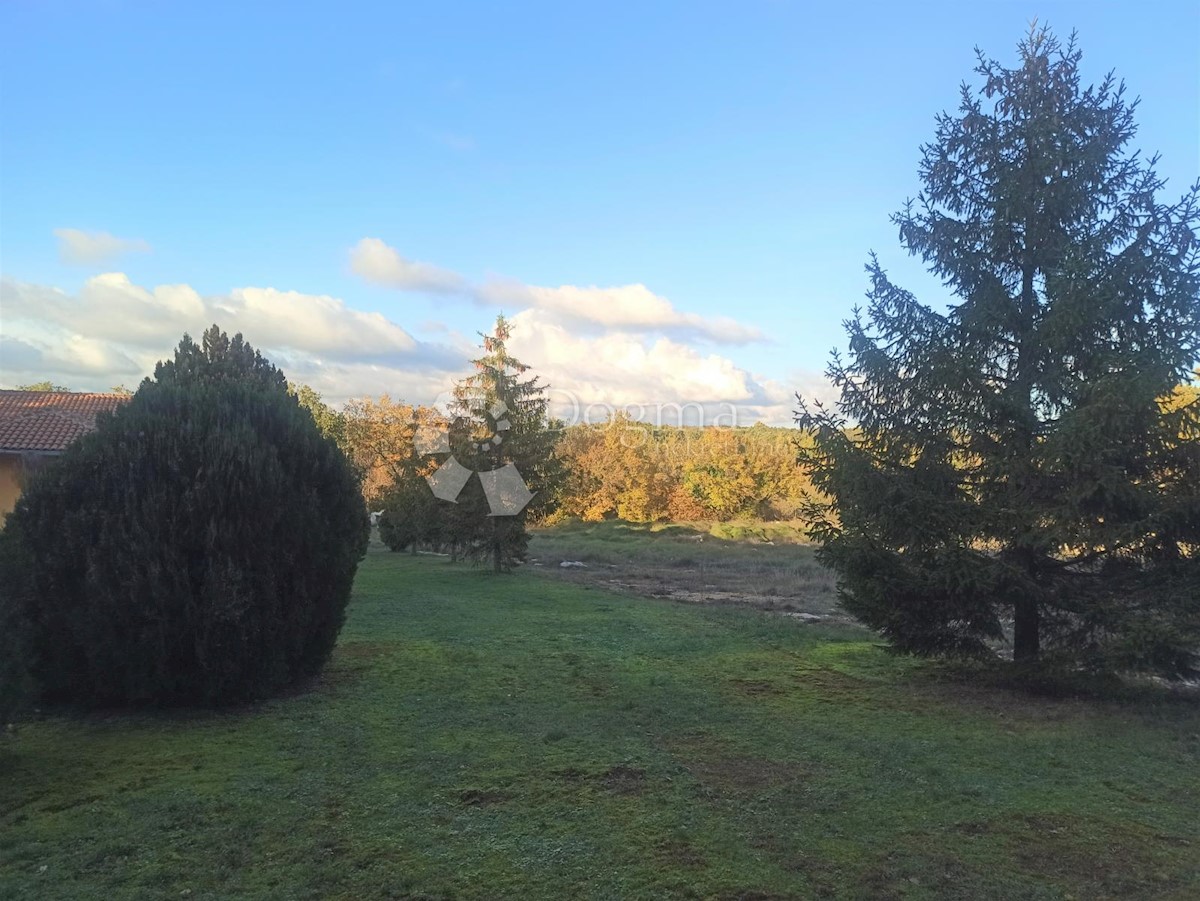 Zemljišče Tinjan, 18.000m2