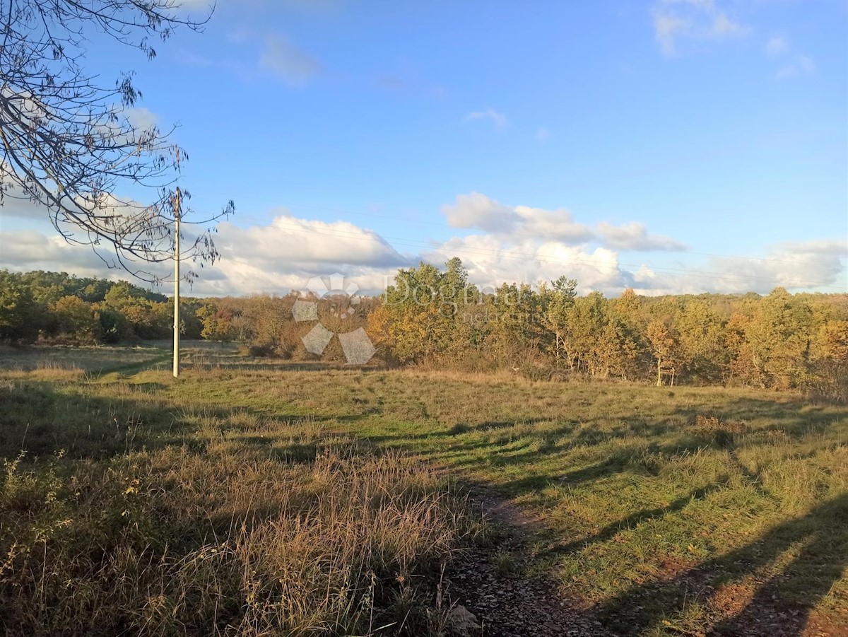 Zemljišče Tinjan, 18.000m2