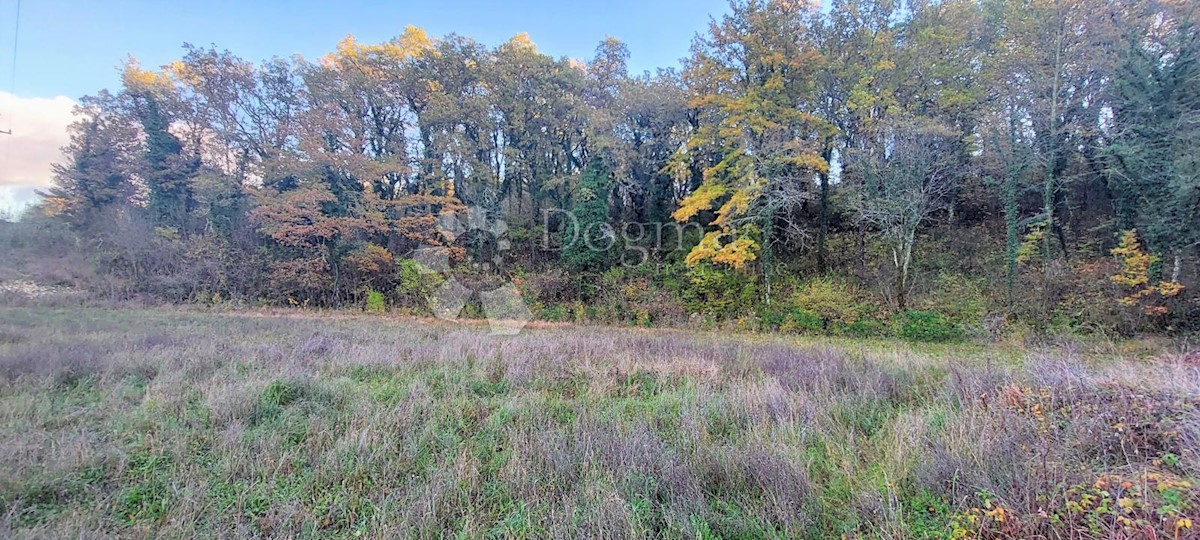 Zemljišče Tinjan, 18.000m2