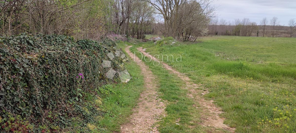 Zemljišče Žužići, Tinjan, 1.025m2