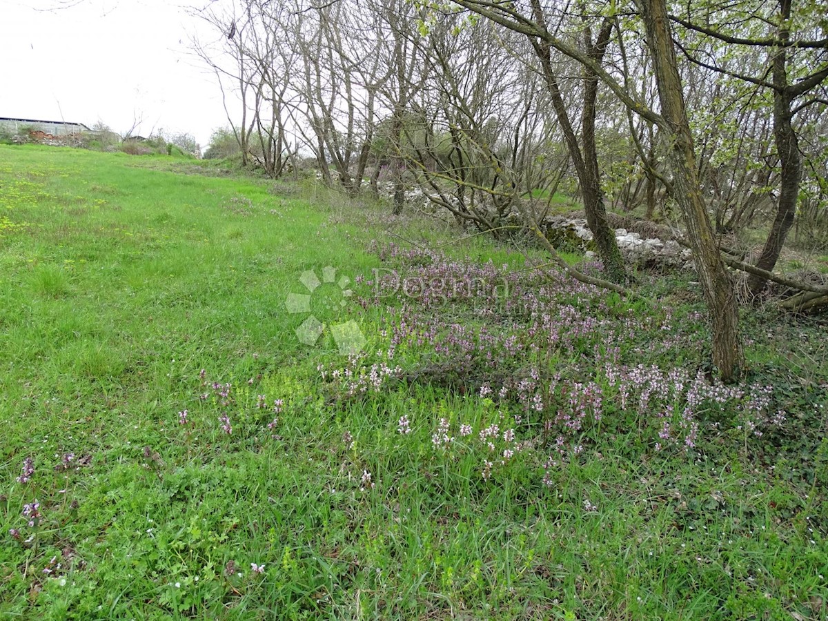 Zemljišče Žužići, Tinjan, 1.025m2