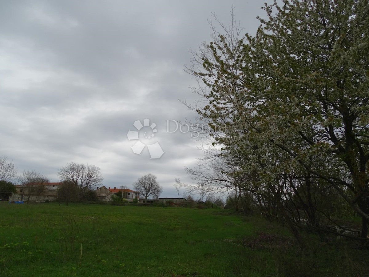 Zemljišče Žužići, Tinjan, 1.025m2