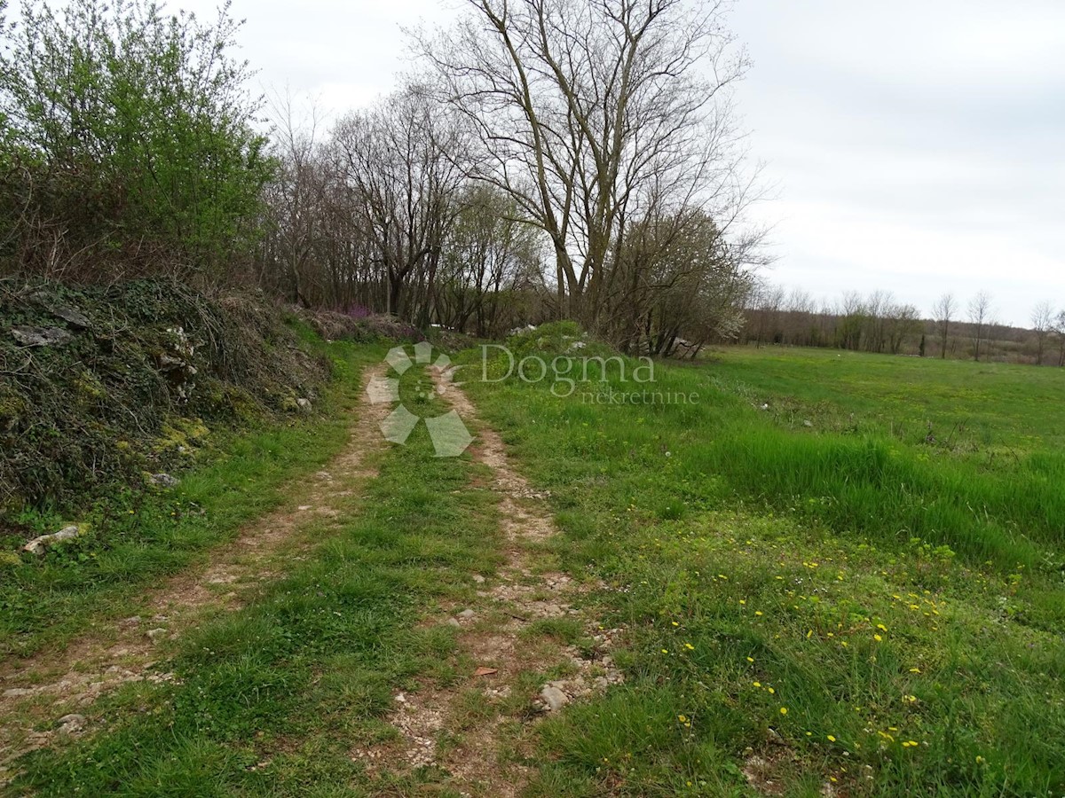 Zemljišče Žužići, Tinjan, 1.025m2