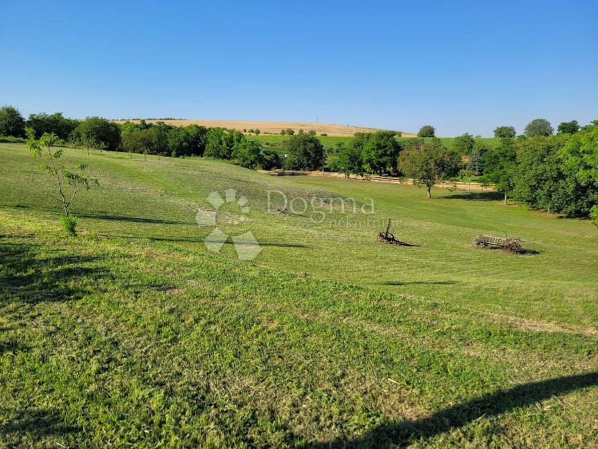 Poslovni prostor Karanac, Kneževi Vinogradi, 500m2