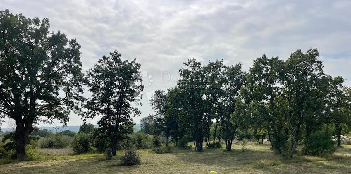 Zemljišče Šajini, Barban, 964m2