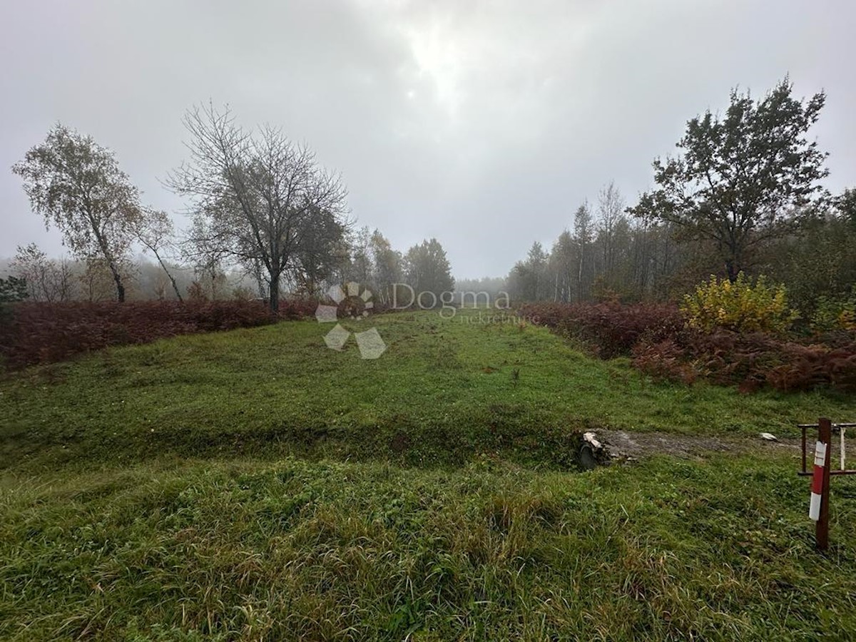 Zemljišče Trnovac, Gospić - Okolica, 3.053m2