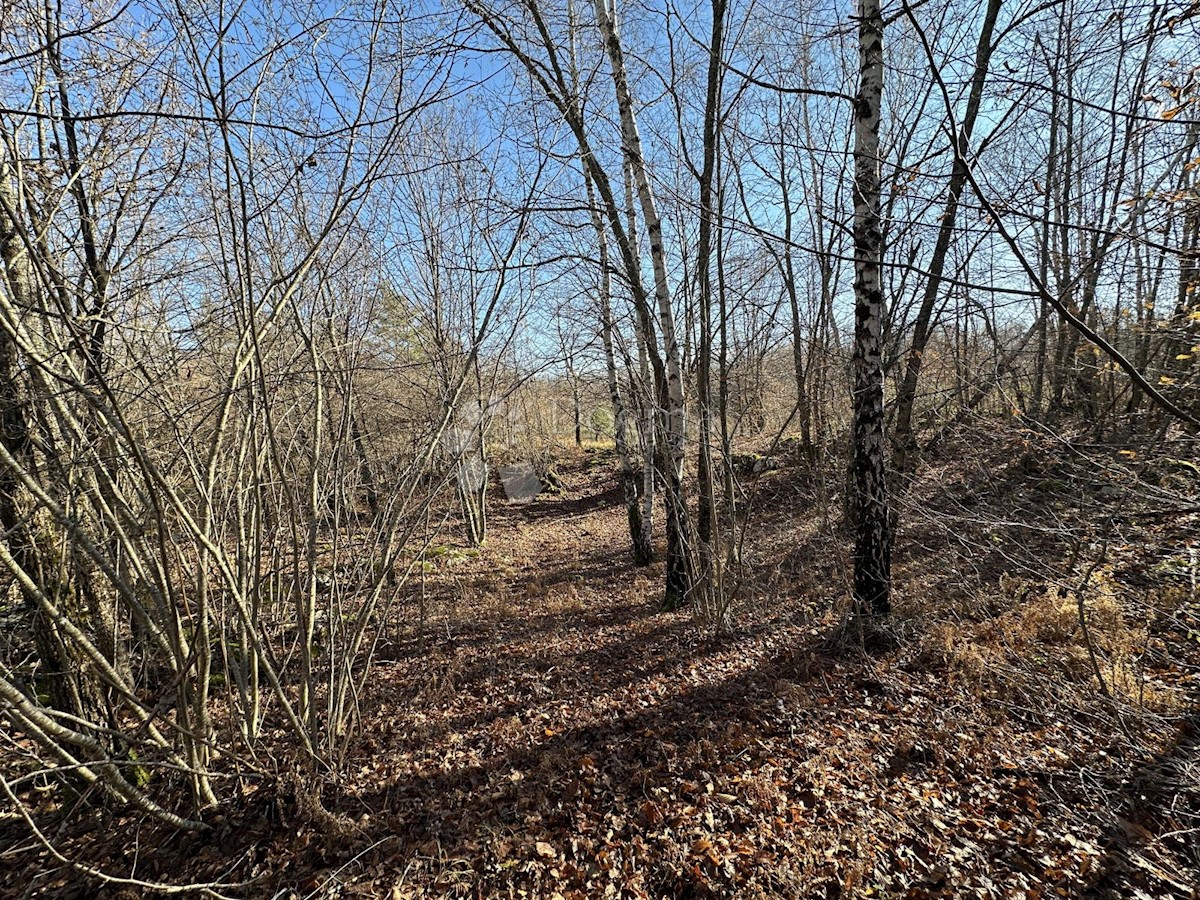 Zemljišče Veliki Žitnik, Gospić - Okolica, 3.435m2