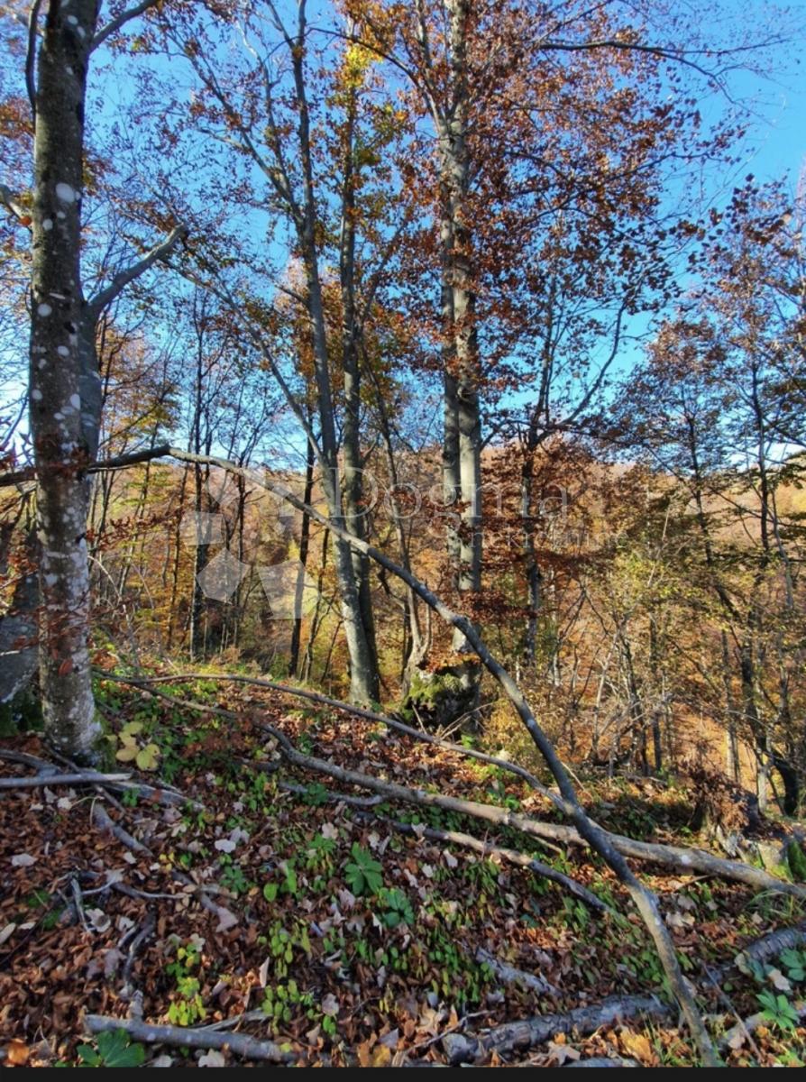 Zemljišče Modruš, Josipdol, 44.679m2