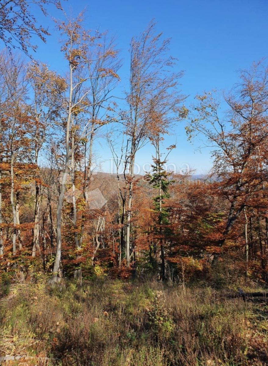 Zemljišče Modruš, Josipdol, 44.679m2