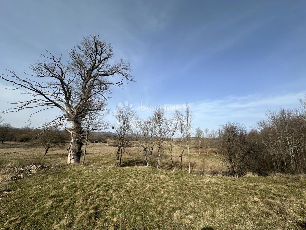 Zemljišče Perušić, 30.000m2