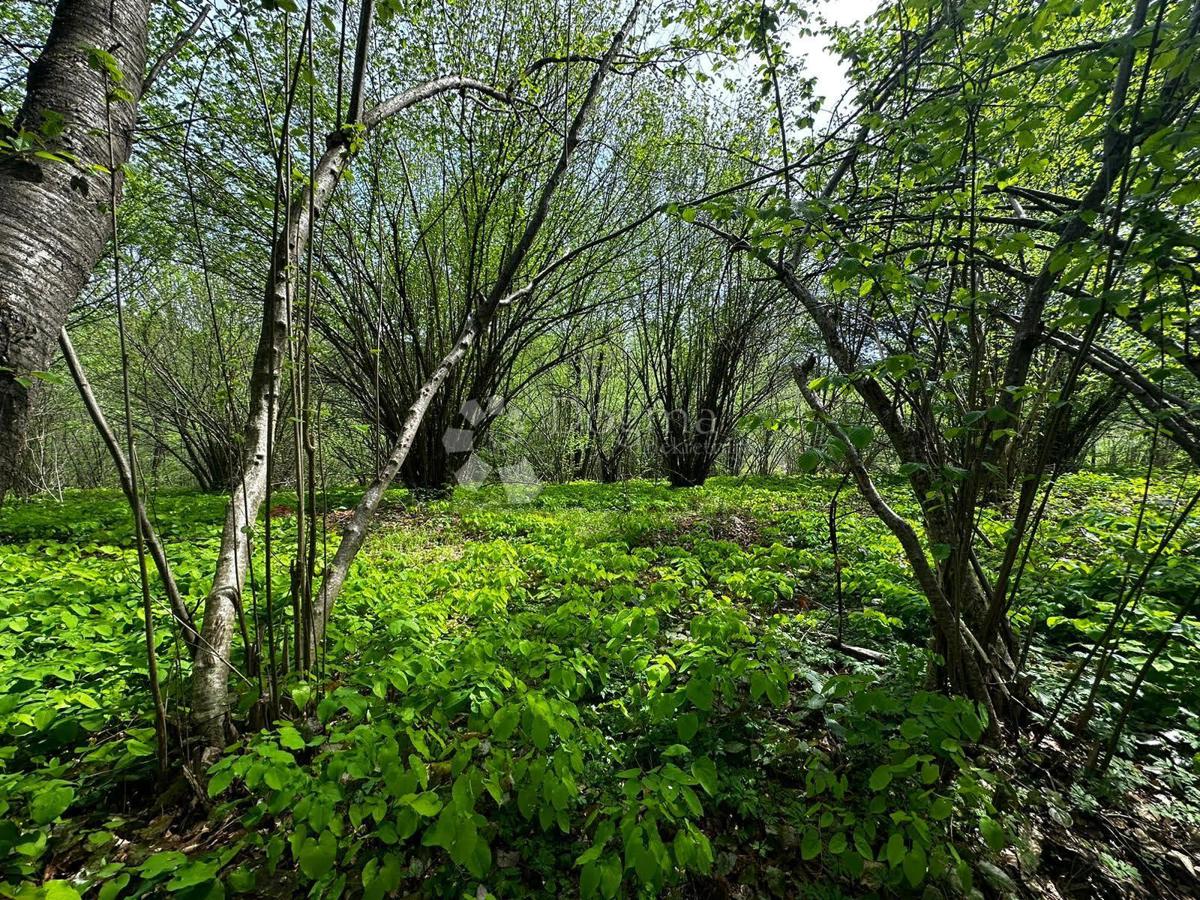 Zemljišče Turanj, Karlovac, 3.404m2