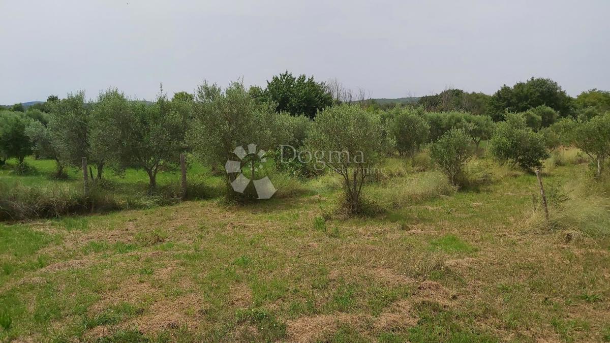 Zemljišče Kanfanar, 18.770m2
