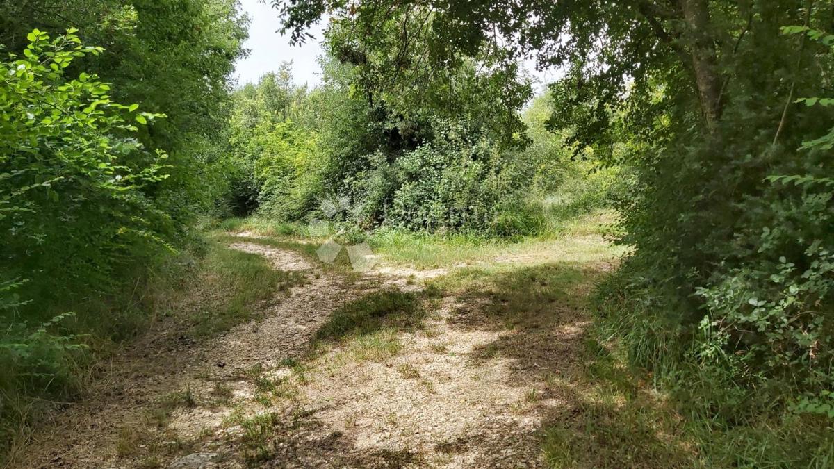 Zemljišče Kanfanar, 18.770m2